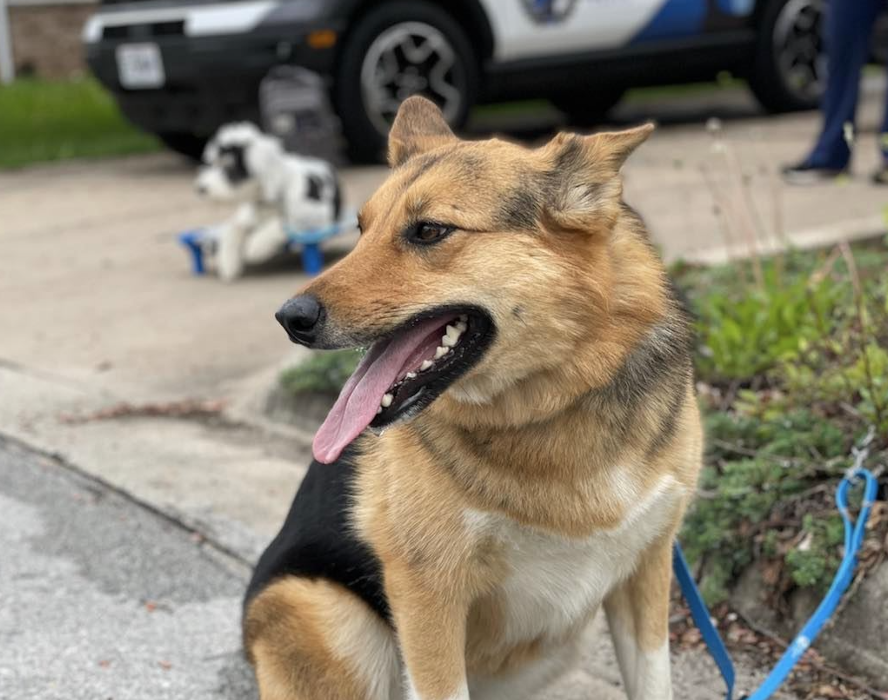 Behavior Problem Solving